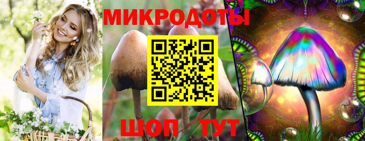 Псилоцибиновые грибы MAGIC MUSHROOMS  Вход с VPN  Касимов 